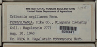 Image Associated With the Occurence